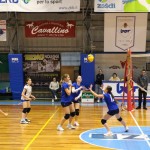 Odbojka U 16 Ž. : Bor -Eurovolleyschool