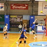 Odbojka U 16 Ž. : Bor -Eurovolleyschool