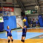 Odbojka U 16 Ž. : Bor -Eurovolleyschool