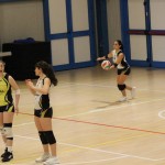 Odbojka ž.div. : Zalet gostilna Valeria - Staranzano