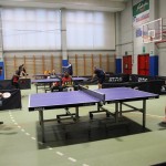 Namizni tenis : Kras