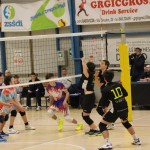 Odbojka : Memorial Veljak U 15