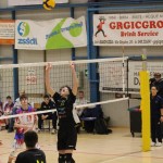 Odbojka : Memorial Veljak U 15