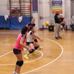 Mavrica Mucci - Triestina Volley Alpe Adria Immobiliare