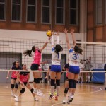 Mavrica Mucci - Triestina Volley Alpe Adria Immobiliare