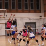 Mavrica Mucci - Triestina Volley Alpe Adria Immobiliare