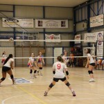 Odbojka 1.Ž.Div. : Zalet gostilna Valeria : Sokol Zalet bar G