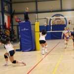 Odbojka 1.Ž.Div. : Zalet gostilna Valeria : Sokol Zalet bar G