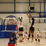 Odbojka 1.Ž.Div. : Zalet gostilna Valeria : Sokol Zalet bar G