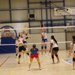 Odbojka 1.Ž.Div. : Zalet gostilna Valeria : Sokol Zalet bar G