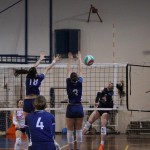 Odbojka D liga : Kontovel Zalet bar Tabor - Stella Volley