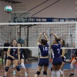 Odbojka D liga : Kontovel Zalet bar Tabor - Stella Volley