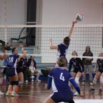 Odbojka D liga : Kontovel Zalet bar Tabor - Stella Volley