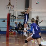 Odbojka D liga : Kontovel Zalet bar Tabor - Stella Volley