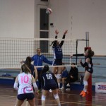 Odbojka D liga : Kontovel Zalet bar Tabor - Stella Volley