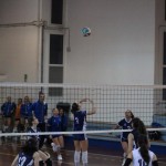 Odbojka D liga : Kontovel Zalet bar Tabor - Stella Volley
