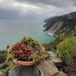 PO SK Devin: treking v narodnem parku Cinque Terre