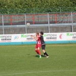 Nogomet elitna liga : Kras repen - UFM
