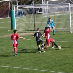 Nogomet elitna liga : Kras repen - UFM
