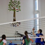 Odbojka U 18 : Zalet Kontovel - Altura