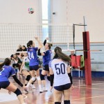 Odbojka U 18 : Zalet Kontovel - Altura