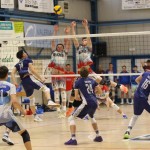 Odbojka B liga : Slovolley - Armanini