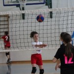 Minivolley: kar 70 otrok na turnirju v Dolini