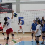 Minivolley: kar 70 otrok na turnirju v Dolini