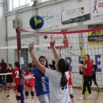 Minivolley: kar 70 otrok na turnirju v Dolini