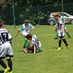 Nogomet U 11 : Mednarodni turnir Zarja