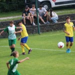 Nogomet : Mednarodni turnir U 14 Zarja