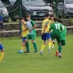 Nogomet : Mednarodni turnir U 14 Zarja