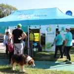 ZSŠDI: ob EPK GO!2025 uspešno čistili bregove Soče