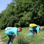 ZSŠDI: ob EPK GO!2025 uspešno čistili bregove Soče