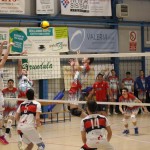 Odbojka B liga : SloVolley ZKB - Valsugana