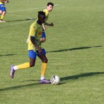 1. AL: La Fortezza Gradisca -  Breg