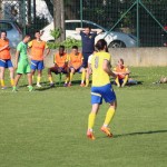 1. AL: La Fortezza Gradisca -  Breg