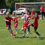 Nogomet : Mednarodni turnir Zarje U 9