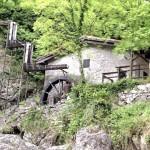 Planinski odsek SK Devin na »Pozze Smeraldine«