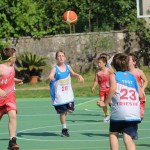 Minibasket : Trofeja ZSŠDI