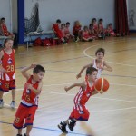 Minibasket : Trofeja ZSŠDI