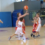Minibasket : Trofeja ZSŠDI