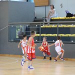 Minibasket : Trofeja ZSŠDI