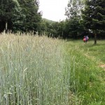 PO AŠD Mladina: pot po Robu - Sinji vrh