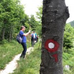 PO AŠD Mladina: pot po Robu - Sinji vrh