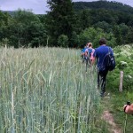 PO AŠD Mladina: pot po Robu - Sinji vrh