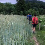 PO AŠD Mladina: pot po Robu - Sinji vrh