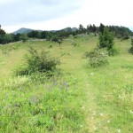 PO AŠD Mladina: pot po Robu - Sinji vrh