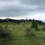PO AŠD Mladina: pot po Robu - Sinji vrh