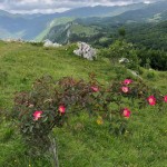 PO AŠD Mladina: pot po Robu - Sinji vrh